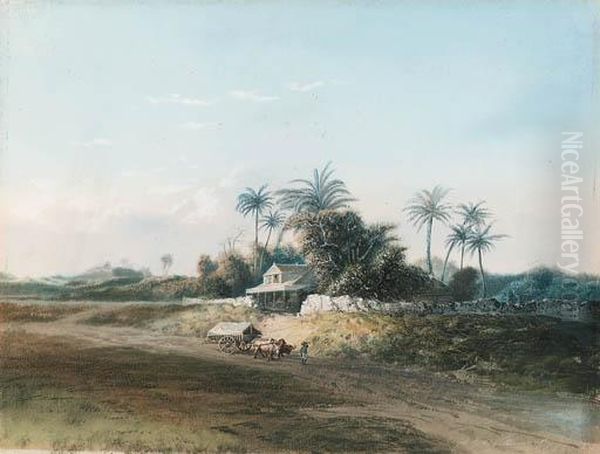 Scenes In The West Indies - view 1