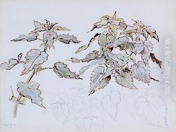 Study Of Nettles - view 1