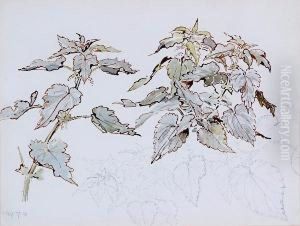 Study Of Nettles by Helen Beatrix Potter