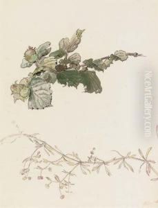 Bedstraw And Hazlenuts (illustrated) by Helen Beatrix Potter