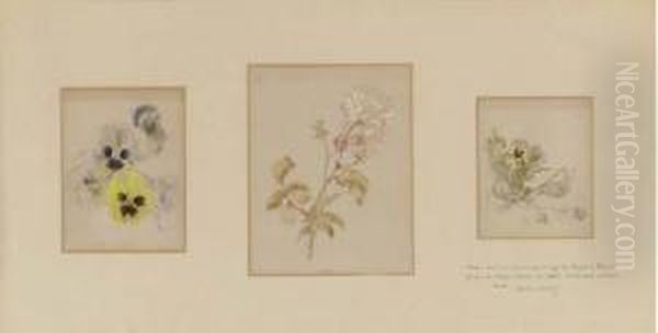 Three Flower Studies Of Roses And Pansies - view 1