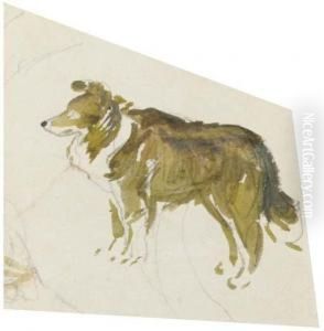 A Study Of Kep by Helen Beatrix Potter