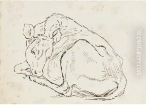 Study Of A Calf by Helen Beatrix Potter