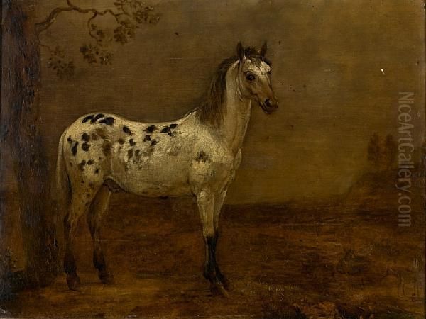 Study Of A Piebald Horse In A Landscape - view 1