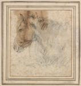 Tete De Cheval by Paulus Potter
