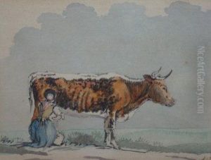 A Milkmaid Milking A Cow by Paulus Potter