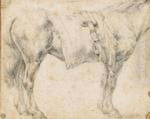 Etude De Cheval Pierre Noire - view 1