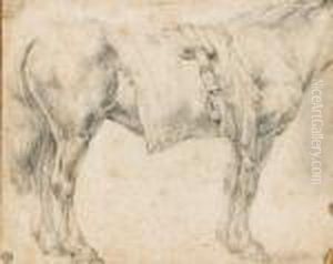 Etude De Cheval Pierre Noire by Paulus Potter