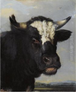 Head Of A Bull