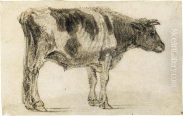 B) Study Of A Grazing Bull, Seen From Behind - view 1