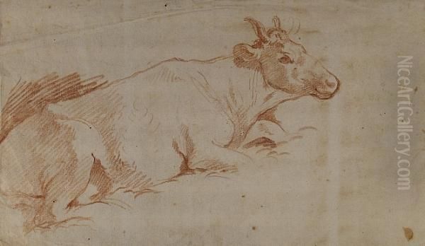 Reclining Cow - view 1