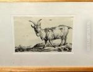 [mountain Goat] by Paulus Potter