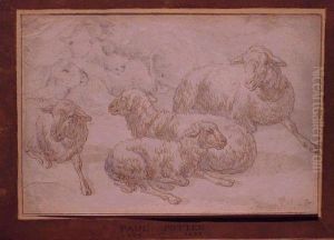 Sheep by Paulus Potter
