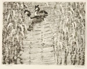 Ente/ Haubentaucher by Emil Pottner