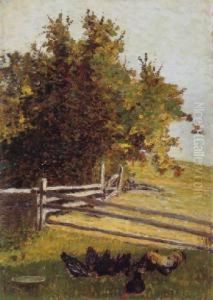 Paysage Paysage