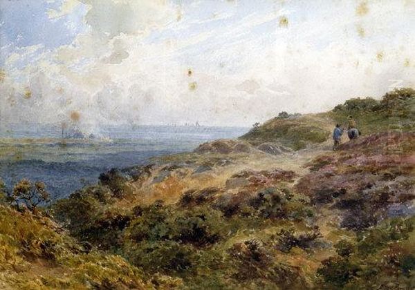 The Coastal Path - view 1