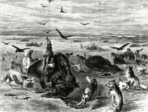 Slaughter of Buffaloes on the Plains from Harpers Weekly 1872 by Davis, Theodore Russell
