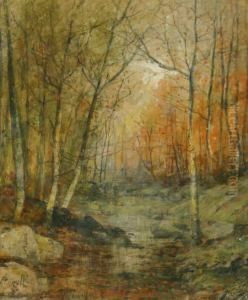 Rock Creek Woodland Scene