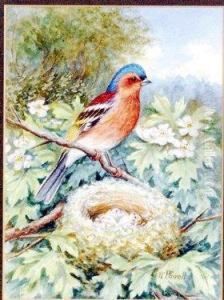 Bird Resting On Blossom Branch Above A Nest Of Eggs by William E. Powell