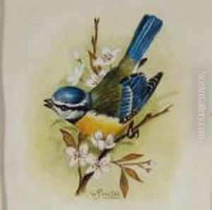 Three Watercolourstudies Of Birds