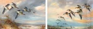 Grey Lag Geese In Flight; And Grey Lag Geese Coming Into Land by William E. Powell