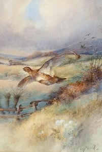 Partridge Coming In To Land by William E. Powell
