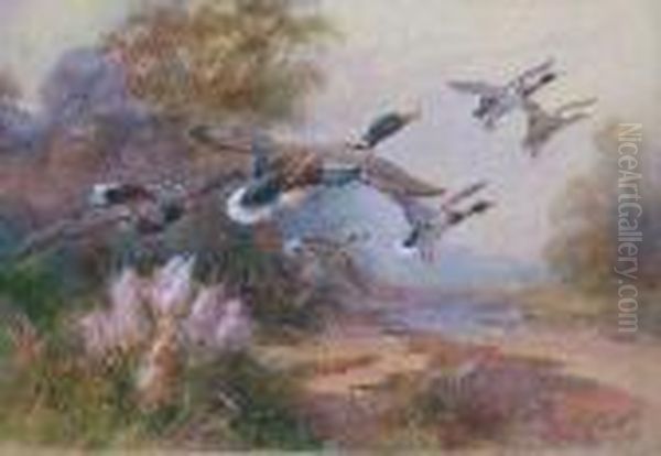 Ducks In Flight - view 1