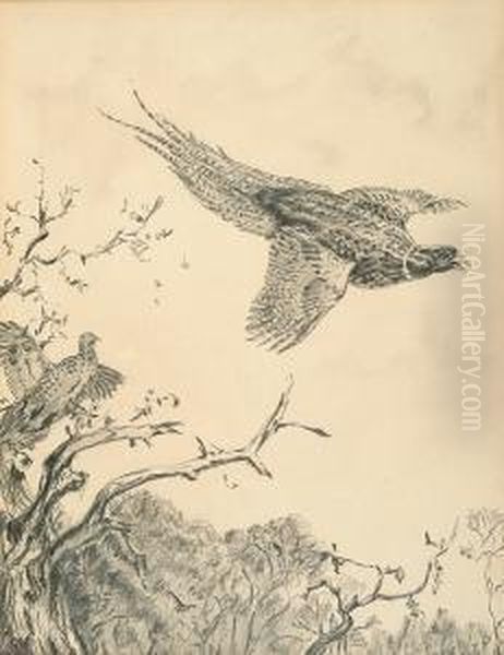 Pheasant In Flight; Hovering Woodcock - view 1