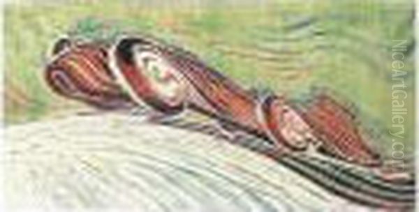 Speed Trial (coppel Cep.31) - view 1