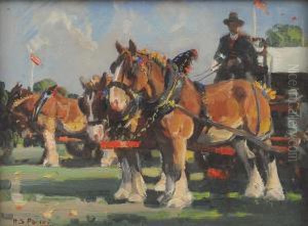 Clydesdales - view 1