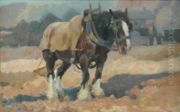 Plough Horse - view 1