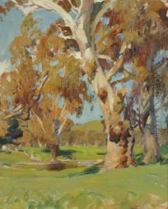 Red Gums by Harold Septimus Power