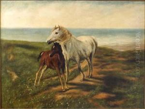 Mare And Foal On A Cliff Path - view 1