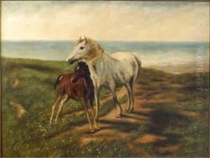 Mare And Foal On A Cliff Path