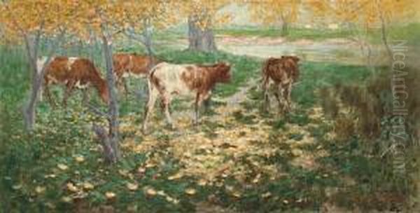 Cattle In Autumn - view 1