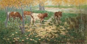Cattle In Autumn Cattle In Autumn
