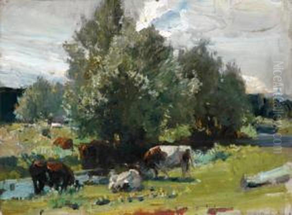 Cows Grazing - view 1