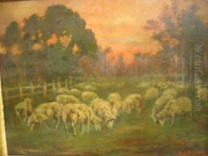 Sunset, Sheep In Foreground Sunset, Sheep In Foreground