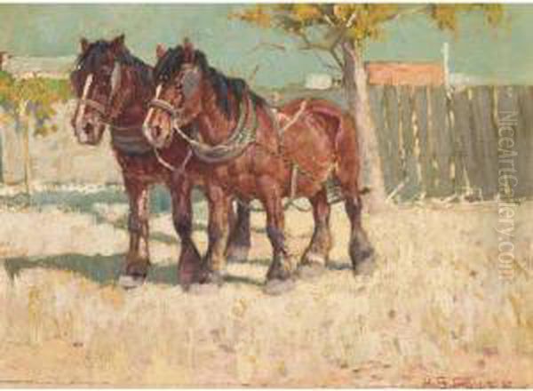 Draught Horses In Sunny Landscape - view 1