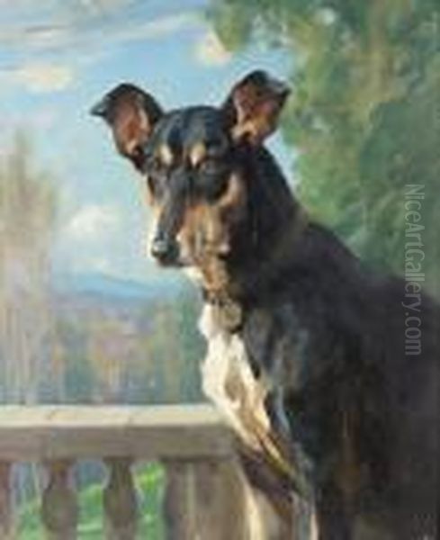 Portrait Of Tallulah, A Smooth Collie - view 1