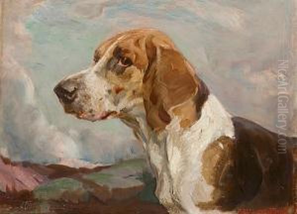 Foxhound - view 1