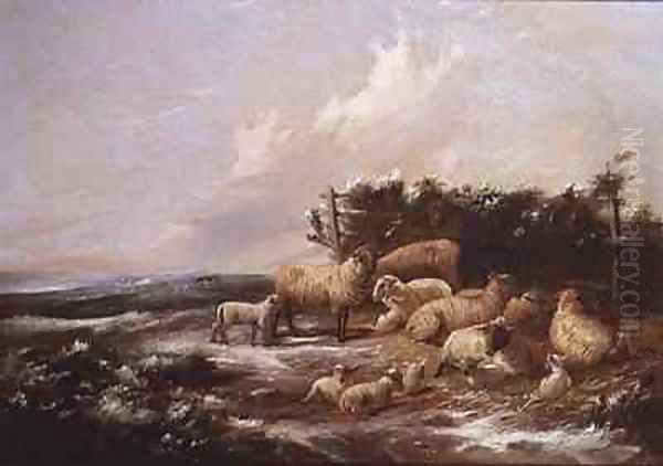 The Lambing Season - view 1