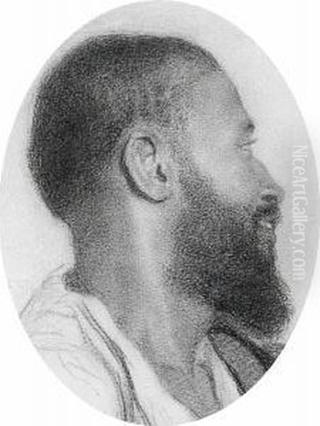 Study Of A Bearded Man In Profile - view 1