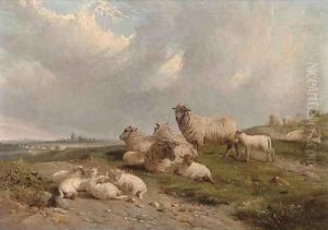 Sheep and lambs on a hillside by J. Duvall