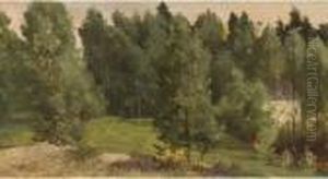 A Wooded Landscape A Wooded Landscape
