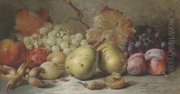 Pears, plums, grapes, pomergranites and hazelnuts - view 1