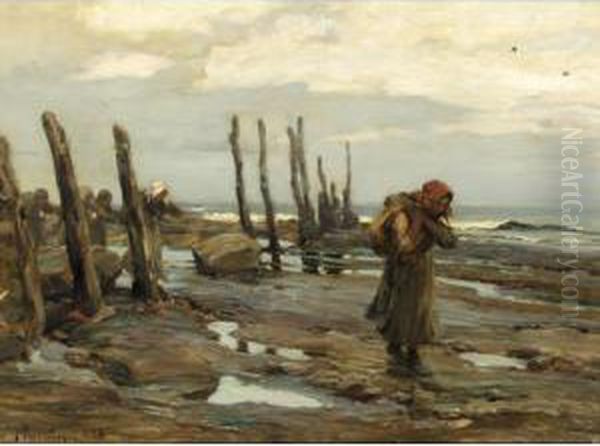 Mussel Gathering - view 1