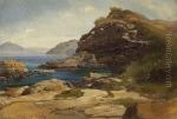 Fjordlandschaft. - view 1