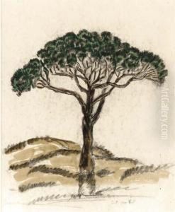 Pine Tree, Iles De Lerins by Charles Prendergast