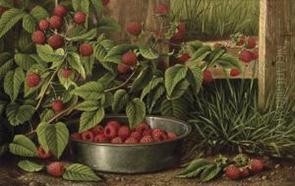 Still Life With Raspberries - view 1